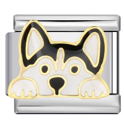 Animal Links/Animal_Premium_Links (7).png