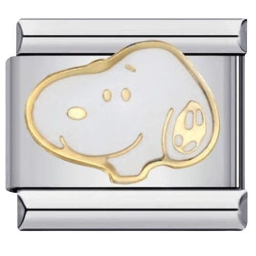 Character Links/Character_Premium_Charms  (13).png